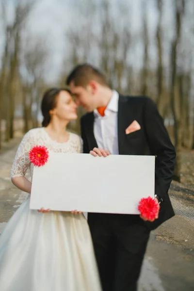 Groom avec la mariée sur une promenade — Photo