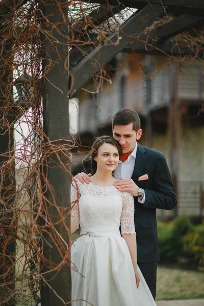 Novio con la novia en un paseo — Foto de Stock