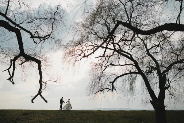 Groom with the bride on a walk Stock Photo