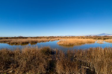 CASTELVOLTURNO OASI VARICONI