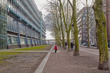 HAMBURG VERLAGSHAUS Homurdanıyor JAHR