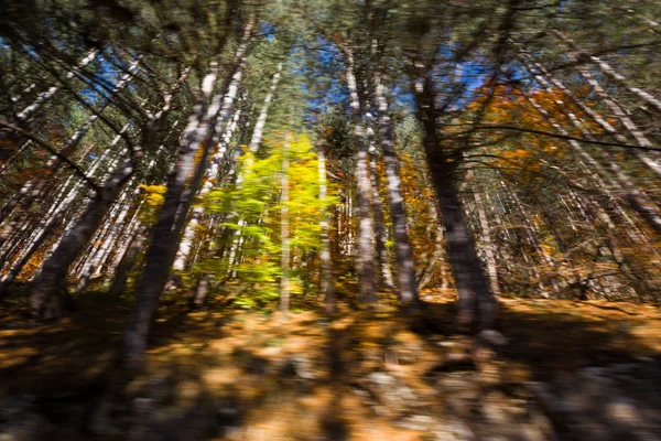 イタリア アブルッツォ州の秋の色 — ストック写真