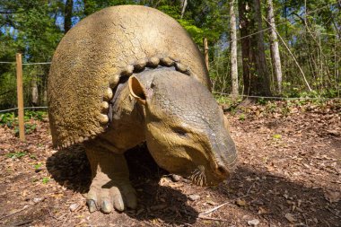 Naples, İtalya - 08 Nisan 2018 - In Cratere Astroni doğa rezerv var olan Geomodel tarafından Wwf Oasi ve Associazione Paleontologica A.P.P.I işbirliği ile oluşturulan dinozorlar.