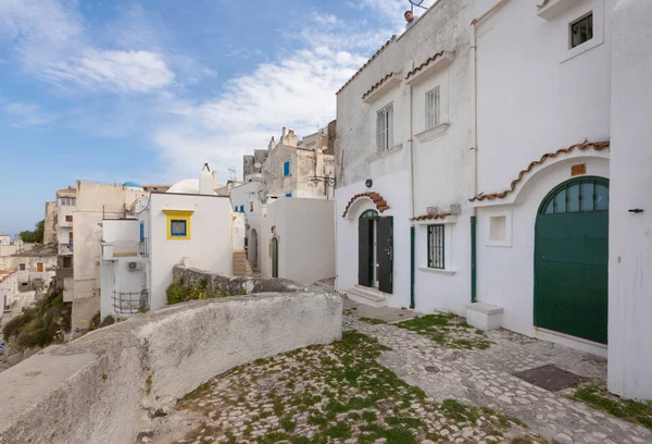 Peschici Puglia Italien Utsikt Över Den Lilla Pittoreska Byn Södra — Stockfoto