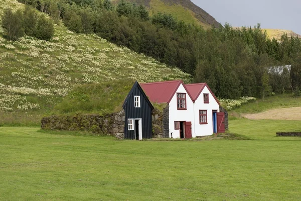 Traditional Icelandic House with grass roof in Skogar Folk Museu — Stock Photo, Image