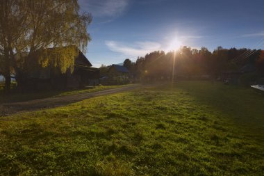 Güneş ışığı güzel yaz manzaraya