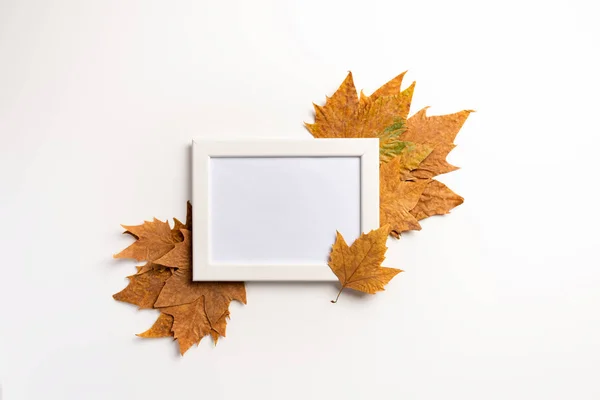 Herfst Samenstelling Fotolijstjes Esdoorn Bladeren Witte Achtergrond Platte Lay Bovenaanzicht — Stockfoto