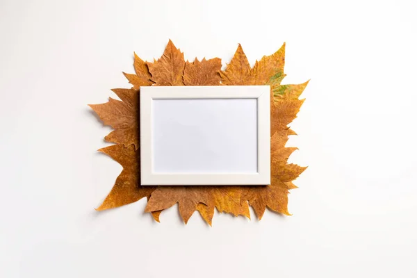 Fotolijstjes Gedroogde Bladeren Witte Achtergrond Herfst Herfst Concept Gouden Herfst — Stockfoto