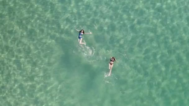 2人の美しい若い女性が水泳 透き通った海の水面に横たわっている — ストック動画