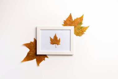 Fotoğraf çerçevesi, beyaz arka planda kurumuş yapraklar. Sonbahar, sonbahar, konsept. Düz yatıyordu.