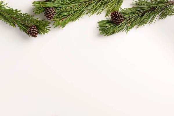 Мінімальна Різдвяна Концепція Ялинові Гілки Конусами Білому Тлі Плоский Простір — стокове фото