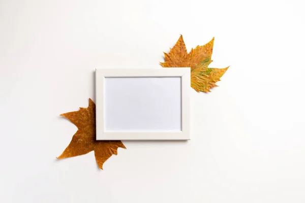 Fotolijstje Gedroogde Bladeren Witte Achtergrond Herfst Herfst Concept Vlakke Plaat — Stockfoto