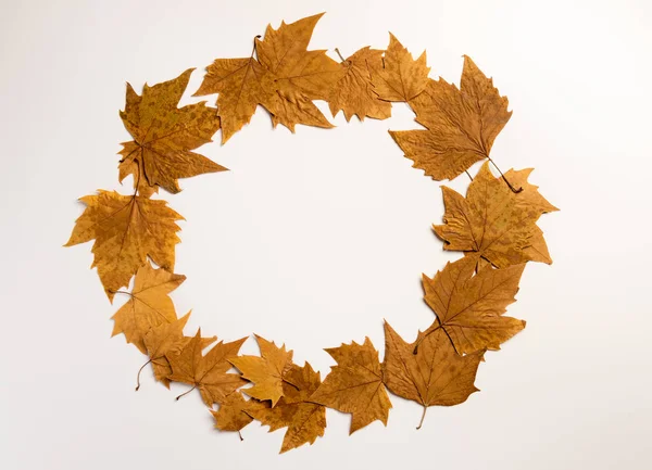 Herfstcompositie Toorn Gemaakt Esdoorn Bladeren Grijze Achtergrond Herfst Herfst Thanksgiving — Stockfoto