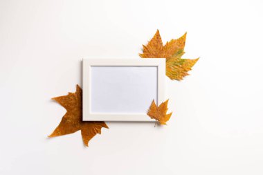 Sonbahar kompozisyonu. Fotoğraf çerçevesi, akçaağaç yaprakları, beyaz arka plan üzerinde. Düz döşeme, üst görünüm, kopyalama alanı.