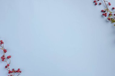 Dikenli dallar, mavi arka planda izole edilmiş. Düz konum, üst görünüm, kopyalama alanı.