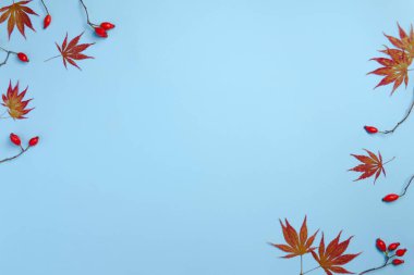 Sonbahar kompozisyonu. Gül kalçası kurumuş böğürtlen ve pastel mavi arka planda yapraklar. Sonbahar, sonbahar, kış konsepti. Düz konum, üst görünüm, kopyalama alanı