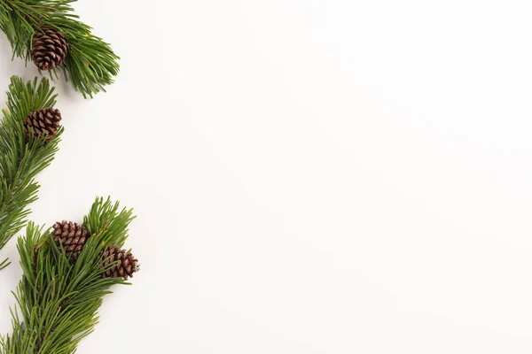 Asgari Noel Konsepti Beyaz Arka Planda Külahlı Ladin Dalları Düz — Stok fotoğraf