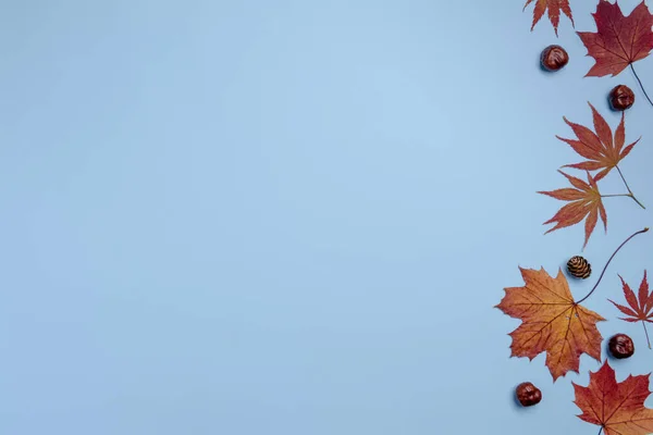 Herbstkomposition Ahornblätter Und Kastanien Auf Blauem Hintergrund Flache Lage Draufsicht — Stockfoto