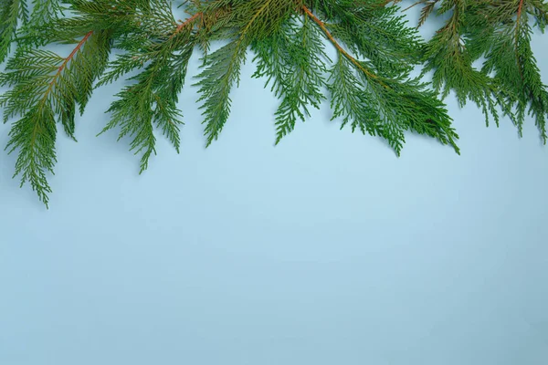 喜庆的圣诞背景与杉树枝条 平面布局 浅蓝色背景的顶部视图 带有复制空间 — 图库照片