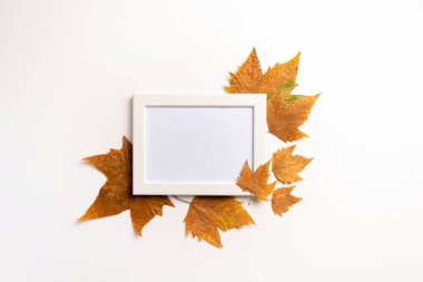 Fotoğraf çerçevesi, beyaz arka plan üzerinde kurutulmuş yaprakları. Sonbahar, sonbahar, konsept. Altın sonbahar. Düz yatıyordu.