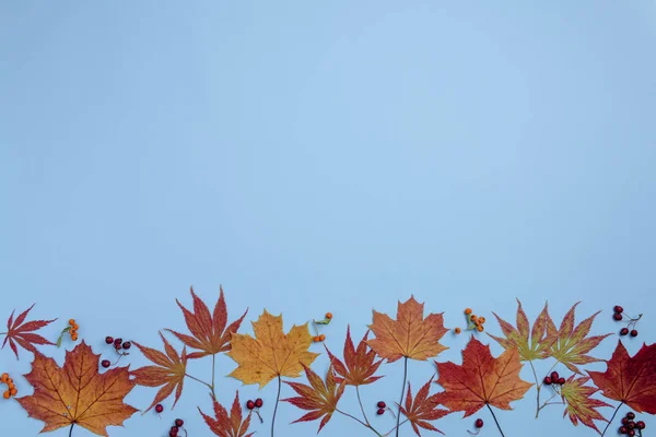 Herbstkomposition Beeren Und Blätter Auf Blauem Hintergrund Flache Lage Draufsicht — Stockfoto