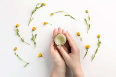 Elinde organik krem tutan kadın. Kadın elleri, kozmetik kremi, beyaz arka planda izole edilmiş takvim çiçekleri. Düz konum, üst görünüm, kopyalama alanı.
