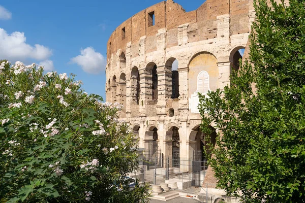 Colosseum Spring Time Rome Italy — Stock Photo, Image