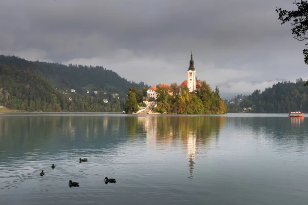Reggeli Kilátás Híres Bled Kis Sziget Egy Templom Szlovéniában — Stock Fotó