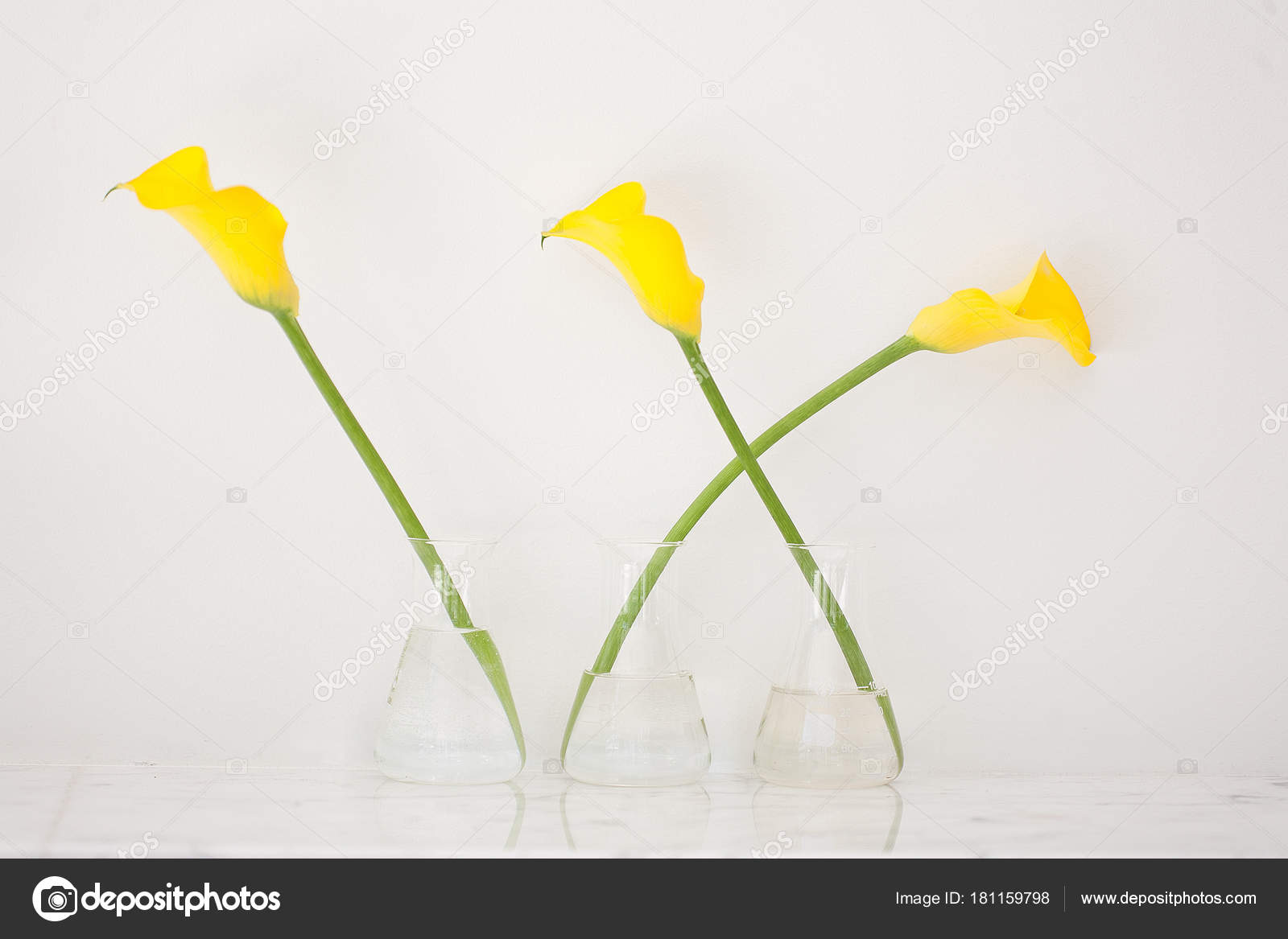 Longue Tige De Fleurs Jonquilles Jaunes Photographie
