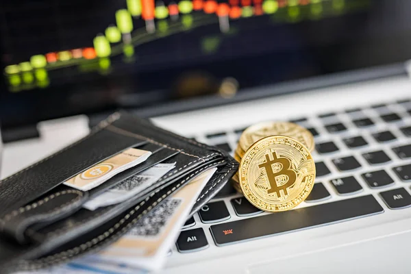 Віртуальний Валюти Wallet Bitcoin Золоті Монети Друкованих Зашифрований Гроші Код — стокове фото