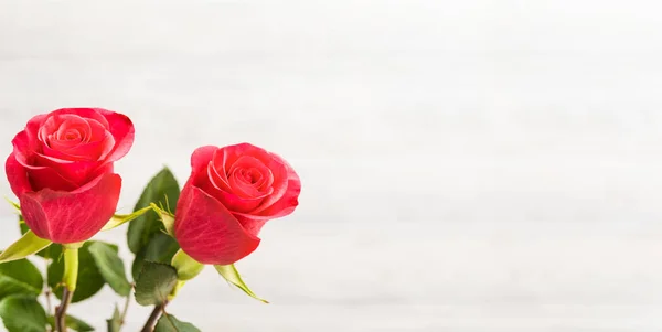Dia Dos Namorados Fundo Duas Rosas Vermelhas Fundo Madeira Branca — Fotografia de Stock
