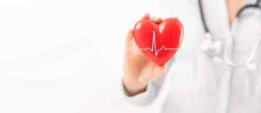 The doctor is holding and showing a red heart. Concept for topics: health, support, international or national cardiology day.