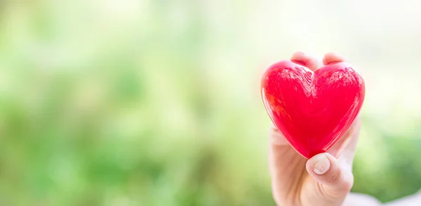 Mujer Sostiene Corazón Rojo Concepto Caridad Seguro Salud Amor Día —  Fotos de Stock