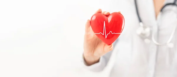 Doctor Holding Showing Red Heart Concept Topics Health Support International — ストック写真