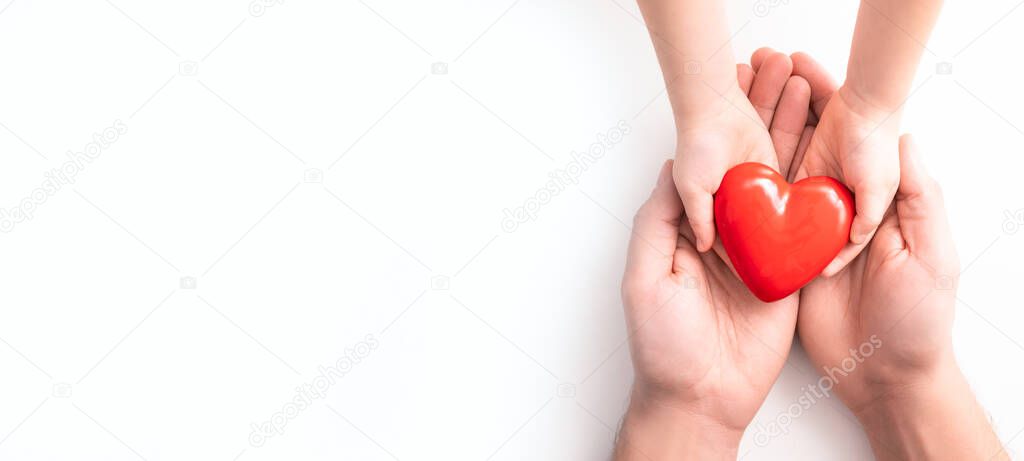 An adult, mother, father and child hold a red heart in their hands. Concept for charity, health insurance, love, international cardiology day.