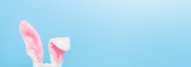 Paskalya tatili konsepti. Mavi arka planda tavşan kulakları (tavşan kulakları). Metin için boş alanı olan mutlu tatiller.