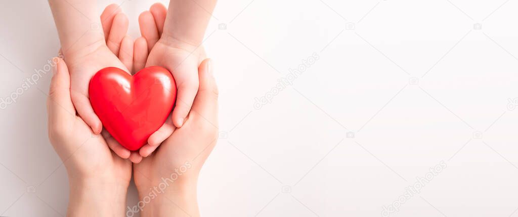 An adult, mother, father and child hold a red heart in their hands. Concept for charity, health insurance, love, international cardiology day.