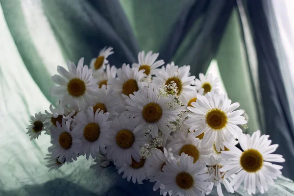 Όμορφα λεπτή λουλούδια — Φωτογραφία Αρχείου