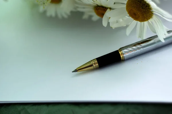 Egy üres papírlapot a toll — Stock Fotó