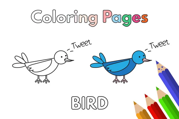 Libro para colorear de aves de dibujos animados — Vector de stock
