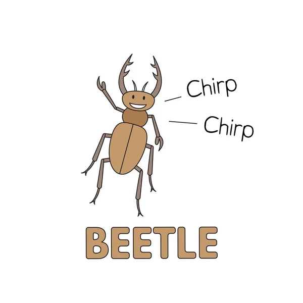 Cartoon Beetle Flashcard för barn — Stock vektor