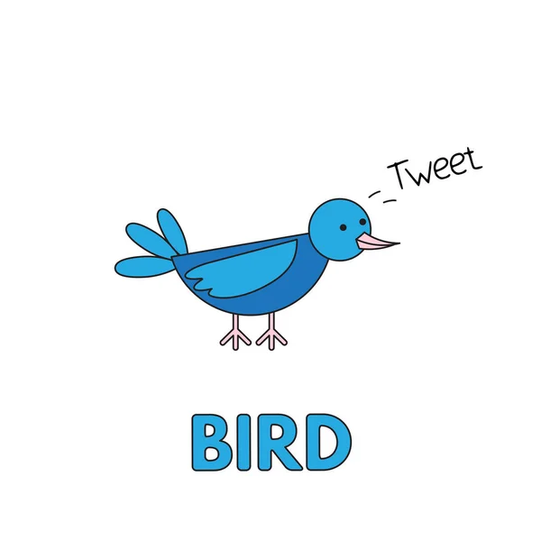 Flashcard ptak kreskówka dla dzieci — Wektor stockowy