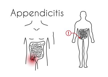 Genç Adam 'ın Vektör Apandisiti Doğrusal Simgesi