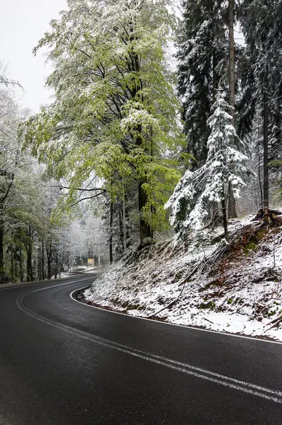 A snowy day — Stock Photo, Image