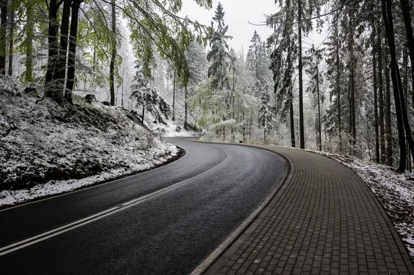 A snowy day — Stock Photo, Image