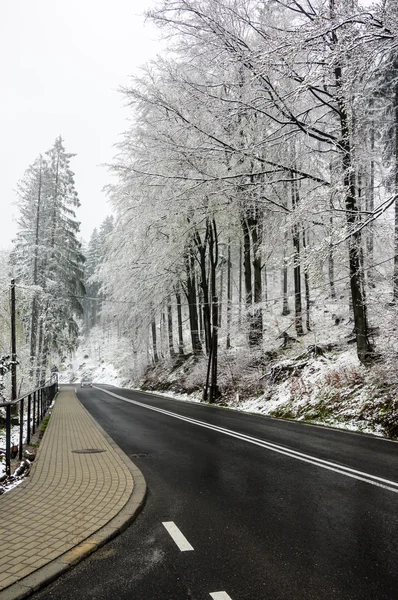 A snowy day — Stock Photo, Image