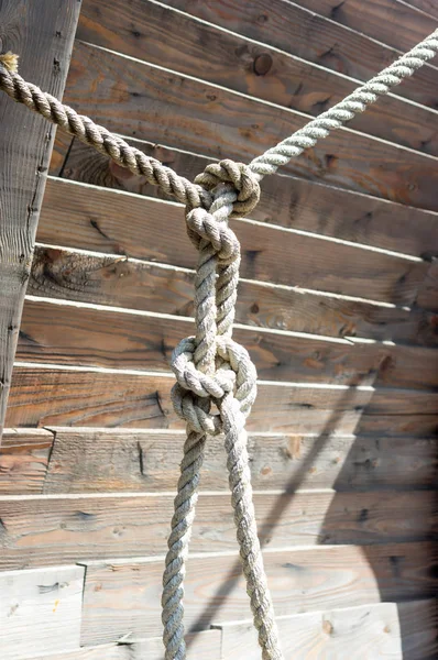 Una corda di cappio — Foto Stock