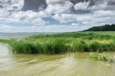 Lebsko Gölü, Polonya