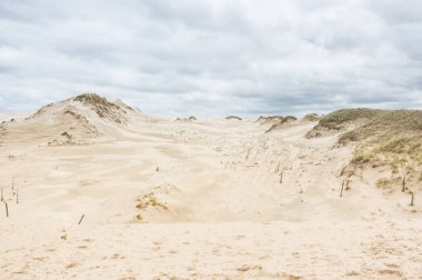 hareketli kumulları