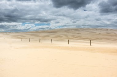 hareketli kumulları